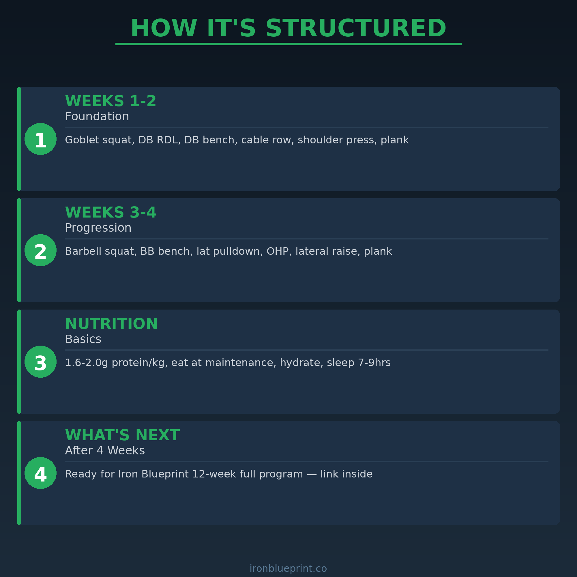 Beginner's Quick Start free 4-week plan — plan structure visual (beginner_etsy_3_structure.png).